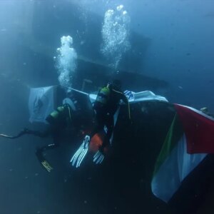 dalgiclardan filistin icin farkindalik eylemi hhcT34Ww