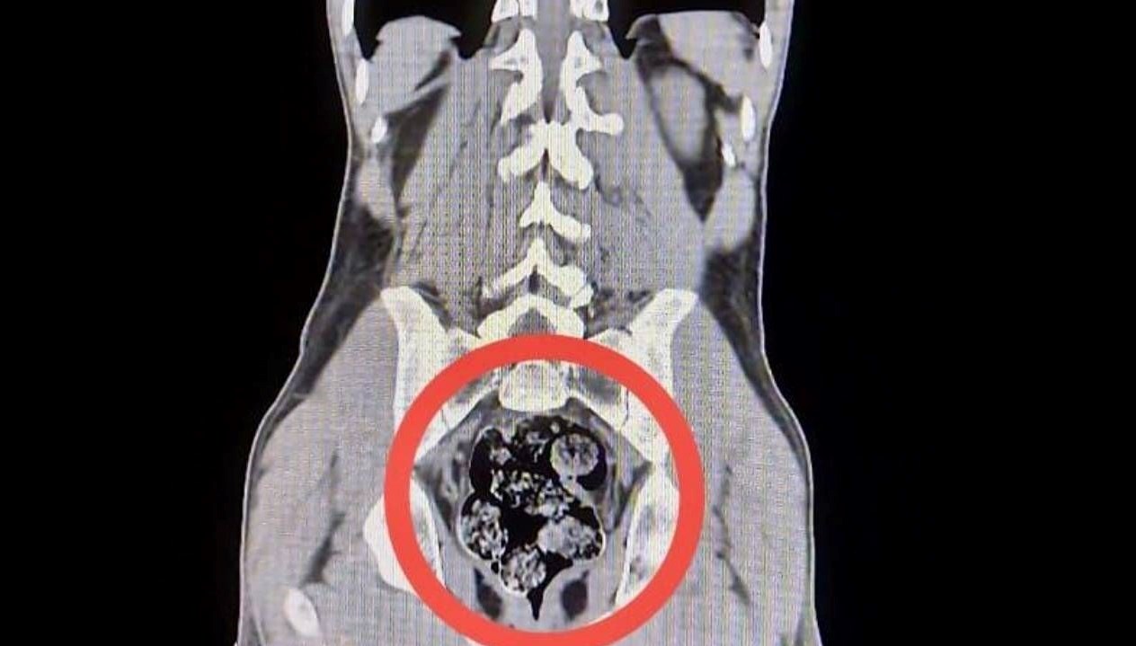 karsta operasyon iranli kuryenin makatindan uyusturucu cikti lticwIsY