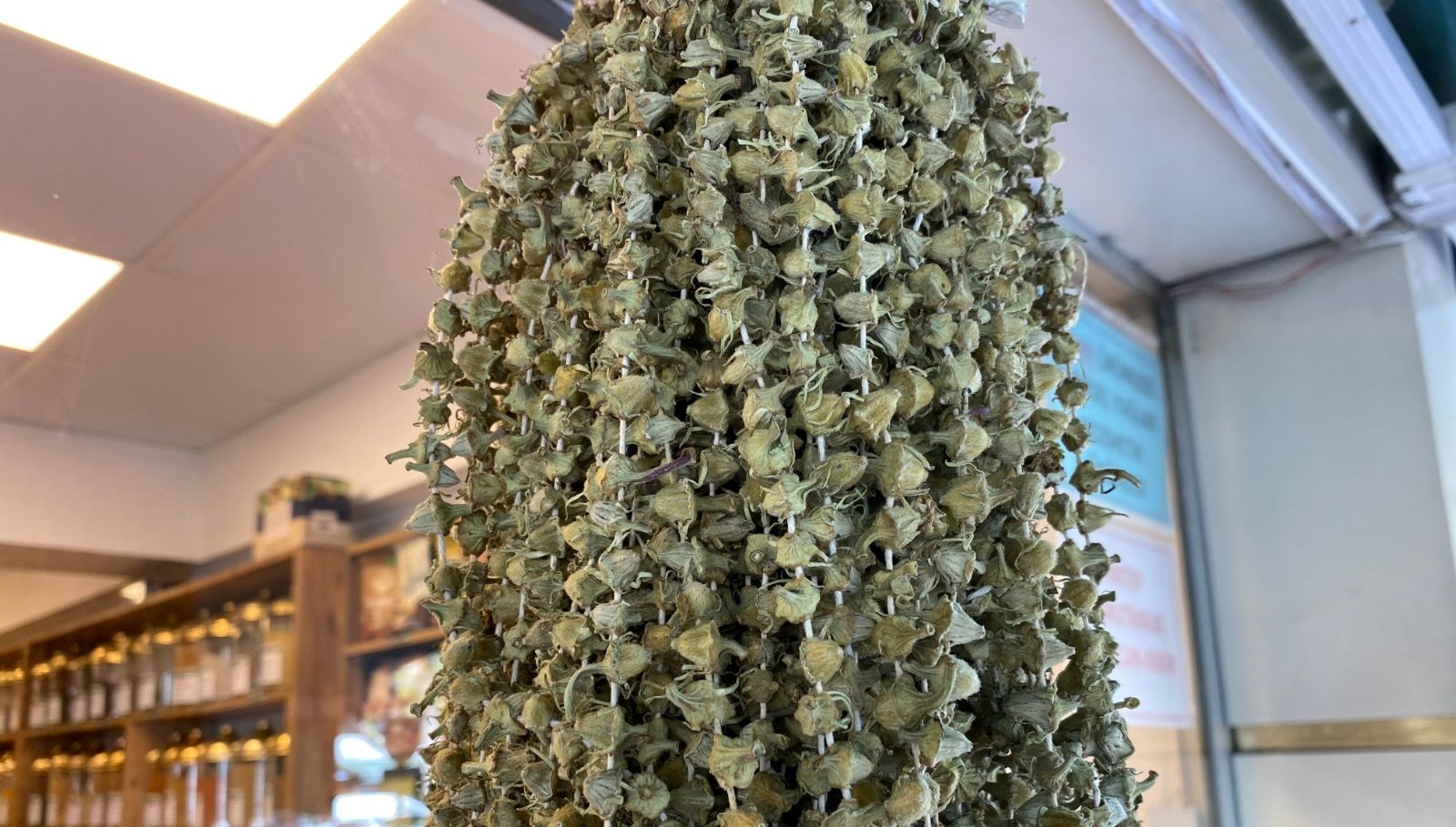 kis aylarinin favorisi fiyati gram altinla yarisiyor dR9TFxp4