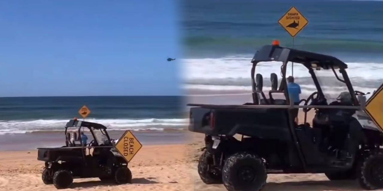 57 yasindaki sorfcu kopekbaligi saldirisinda hayatini kaybetti bolgede sahiller kapatildi eWyZqjnS