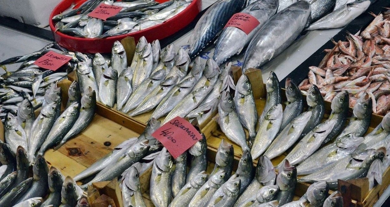 balikcilarin yuzunu gulduren haber geldi akin akin harekete gectiler 222cfip4