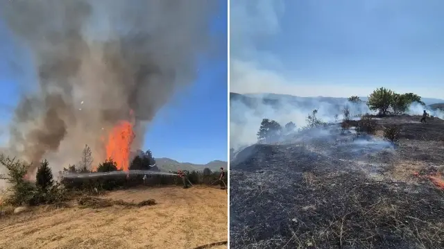 bursada ormanlik alanda cikan yangina mudahale ediliyor 2G48zSBA