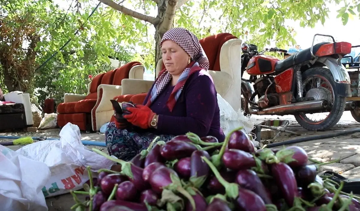 gaziantepte kis hazirliklari devam ediyor cwFBRDvs