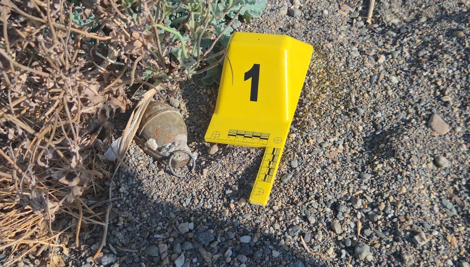 iznik golu kiyisinda el bombasi panigi Y1VZEK5D