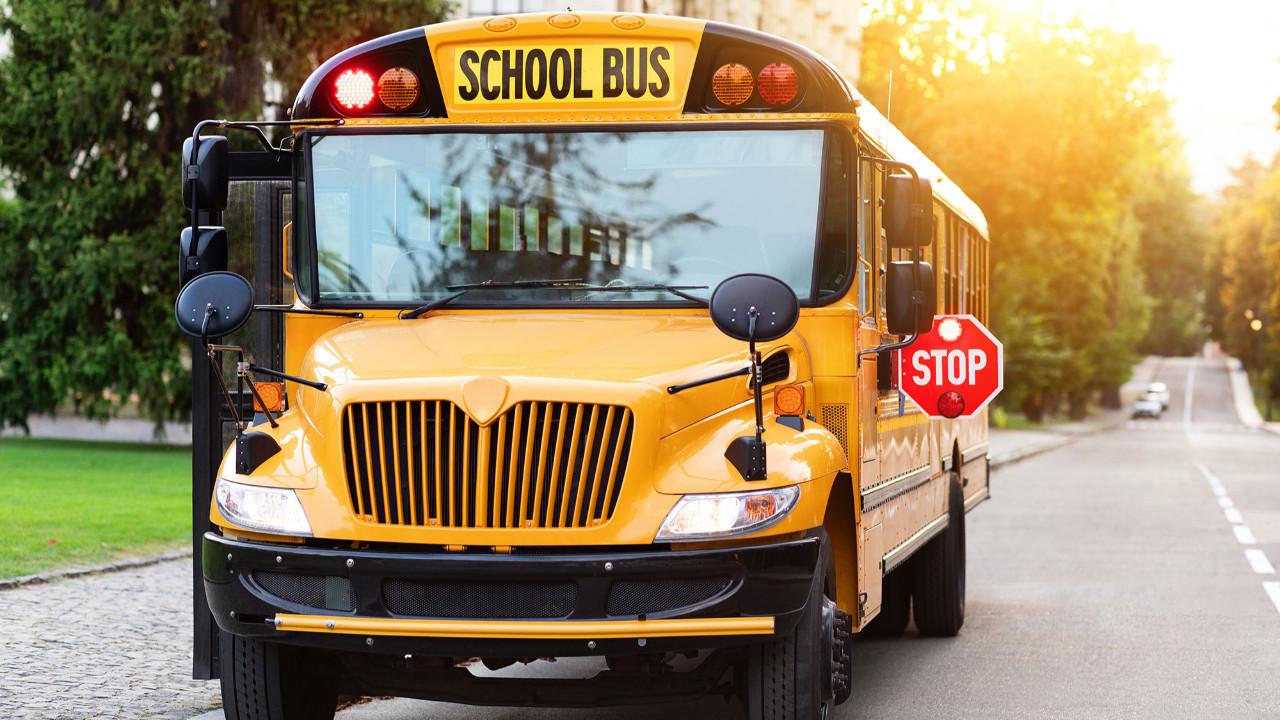 sari rengin ardindaki sir abddeki okul otobuslerinin hepsi neden sari jm65gysn