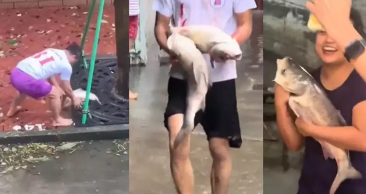 sokaklar balikla doldu kocaman baliklari kucaklayip eve goturduler gPNPrBB9