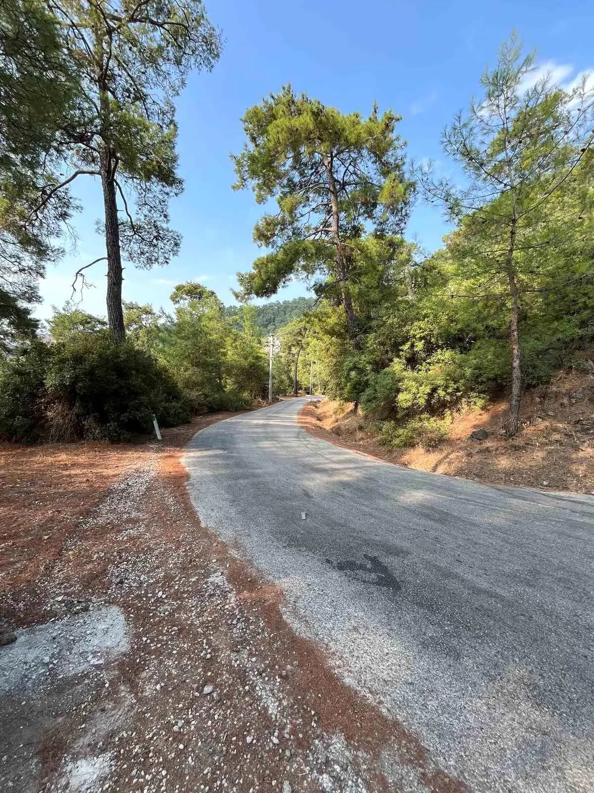 marmariste yangin onleme calismalari yayginlasirken SwFcEL7L