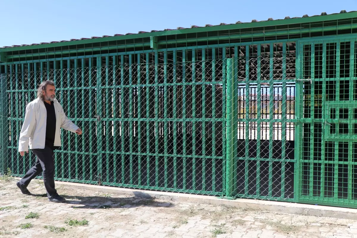 zincirli kurt kurtarildi 4HEBhU6Y.jpg