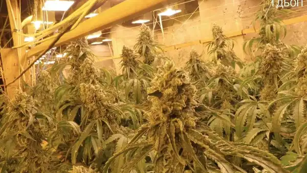 Eski Çinko Madeninde Uyuşturucu Üretim Tesisi Bulundu